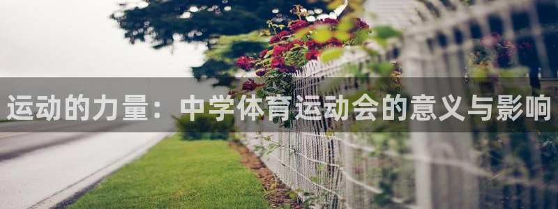凯发官方正版app开户：运动的力量：中学体育运动会的