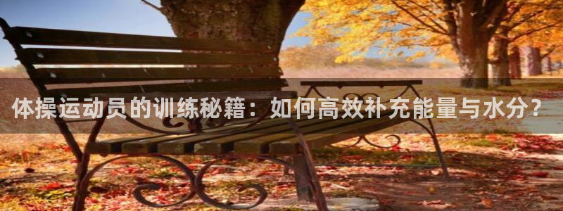 凯发官网下载平台是正规平台吗安全吗：体操运动员的训练