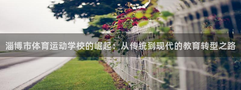 凯发官方正版app集团E.ON：淄博市体育运动学校的