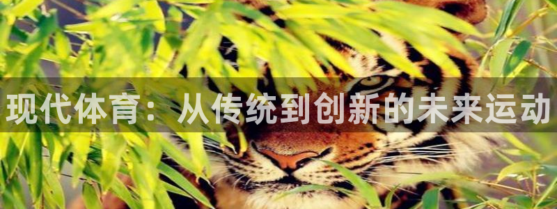 凯发官方正版app集团：现代体育：从传统到创新的未来
