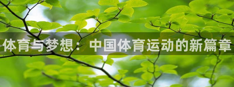 凯发官方正版app集团logo：体育与梦想：中国体育