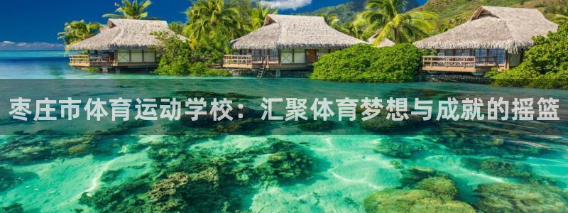 凯发官网下载平台注册要钱吗安全吗：枣庄市体育运动学校