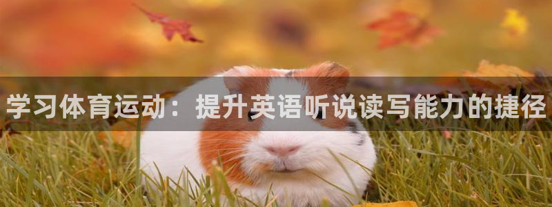 德国凯发官方正版app集团：学习体育运动：提升英语听说读写能
