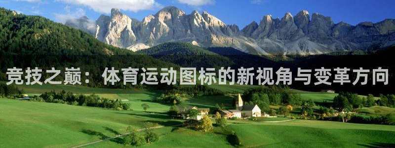 海南凯发官网下载发展怎么样：竞技之巅：体育运动图标的