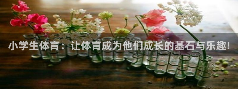 凯发官方平台体育：小学生体育：让体育成为他们成长的基石与乐趣