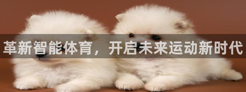 凯发官网下载招商电话号码是多少啊：革新智能体育，开启