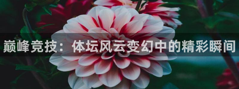 凯发官方正版app集团官网首页：巅峰竞技：体坛风云变