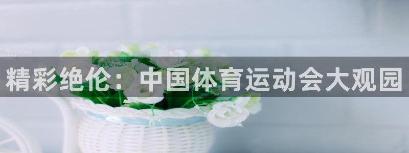 凯发官网下载是干嘛的公司：精彩绝伦：中国体育运动会大