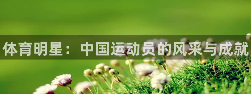 凯发官网下载招商电话号码查询是多少