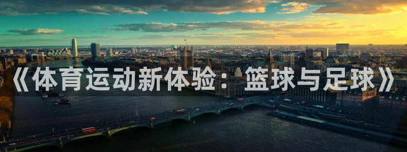 凯发官方正版app娱乐下载：《体育运动新体验：篮球与足球》