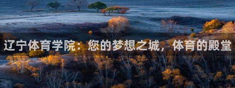 凯发官网下载招商电话是多少：辽宁体育学院：您的梦想之城，体育