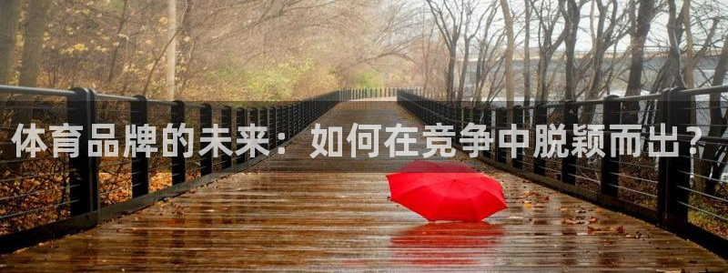 凯发官网下载平台注册要钱吗安全吗：体育品牌的未来：如何在竞争