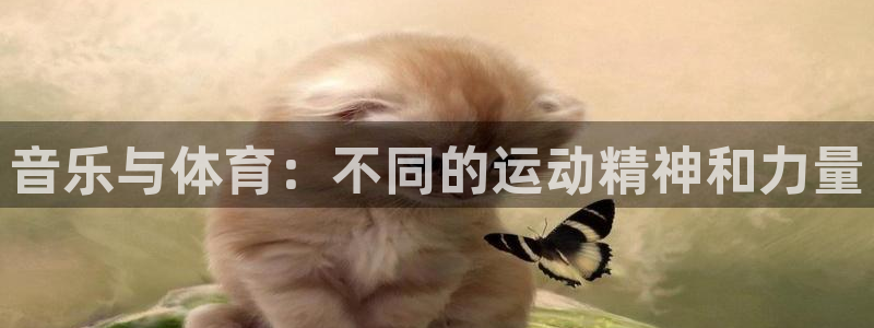 k8凯发欧洲杯：音乐与体育：不同的运