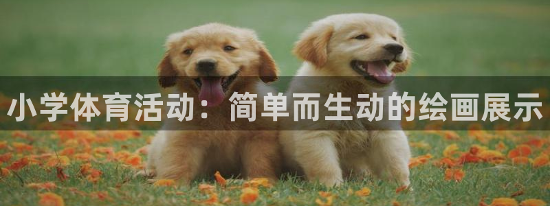 凯发k8 ∶ag85856：小学体育