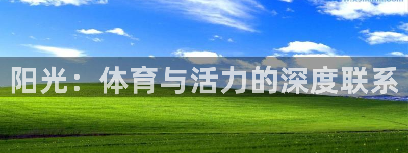 凯发最新官方app下载：阳光：体育与