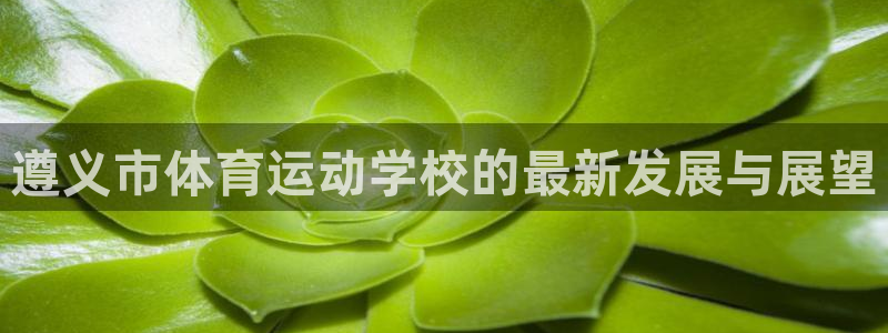 凯发 娱乐 k8：遵义市体育运动学校
