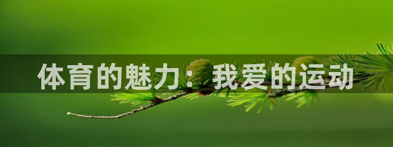 凯发官网下载招商电话：体育的魅力：我爱的运动