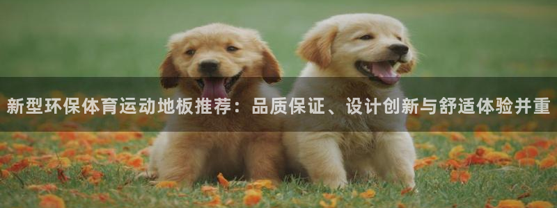 凯发官网下载招商电话是多少啊：新型环保体育运动地板推荐：品质