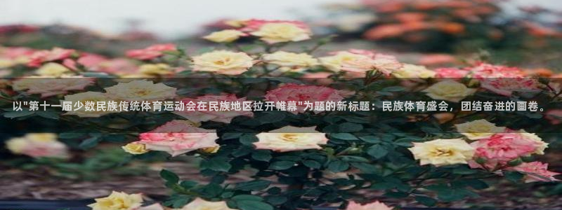 凯发官方正版app开户：以\