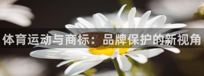 凯发官方正版app娱乐首页官网下载