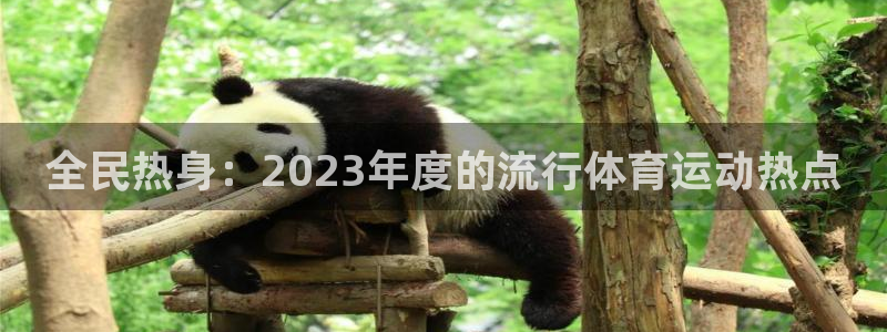 凯发官方正版app代理